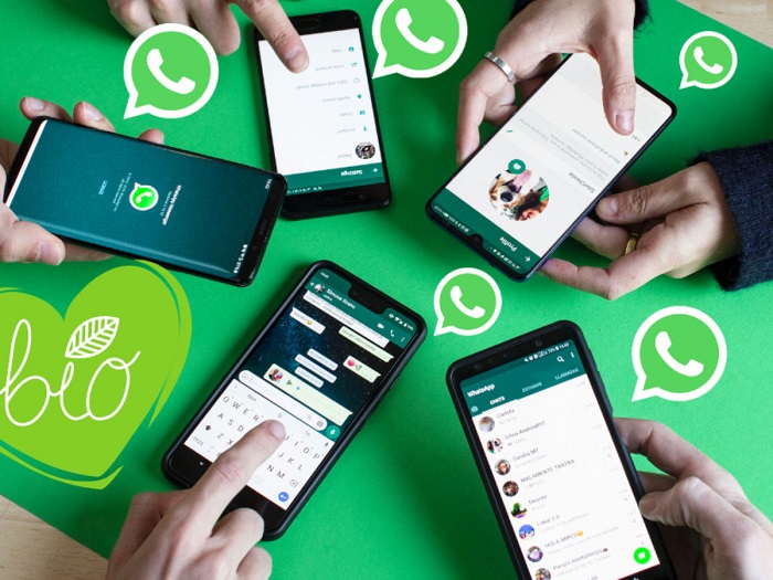 Why WhatsApp About Lines Matter