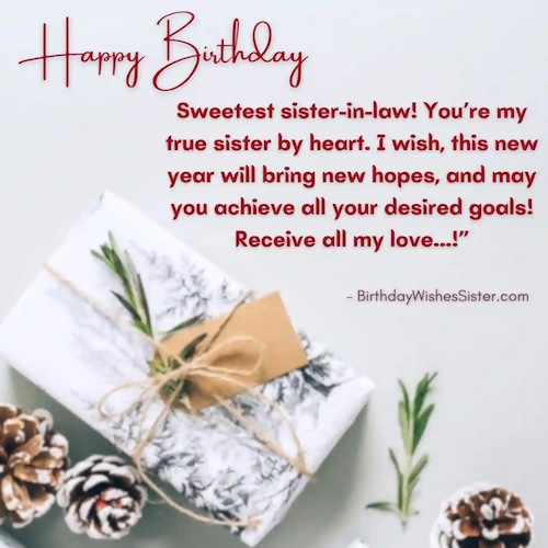 Funny Birthday Wishes for Cousin Sister