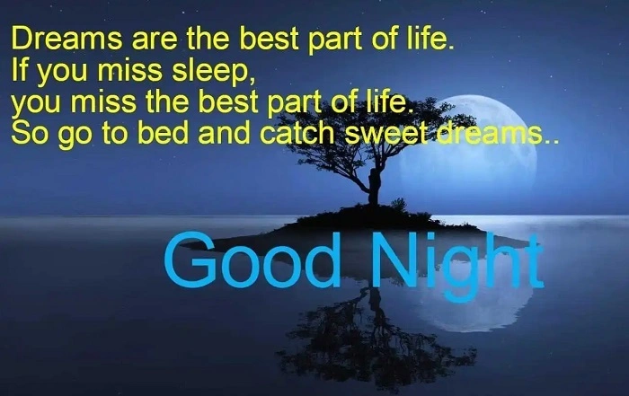 good night message for friend 5