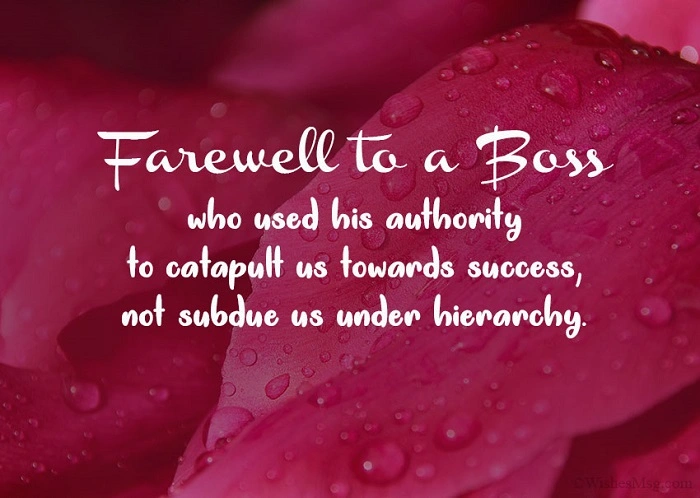 How to Write Heartfelt Farewell Wishes for Boss