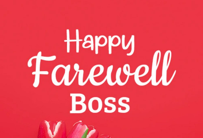 Sample Farewell Wishes to Boss You Can Use