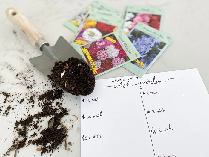 Steps to Create Your Own Wish Garden