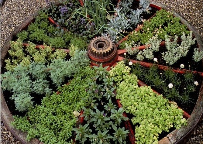 The Best Herbs for a Wish Garden