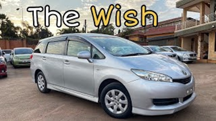 Understanding the Meaning of a Vehicle Wish