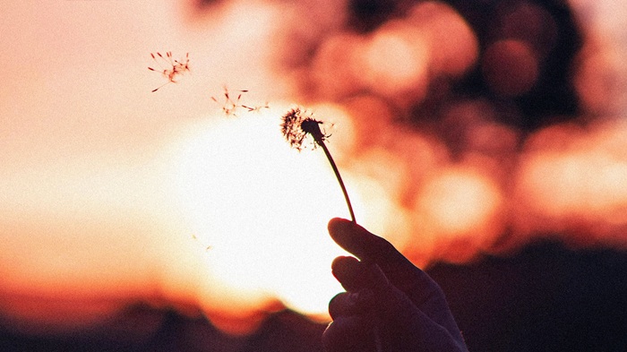How to Personalize Your Wish Quick Framework